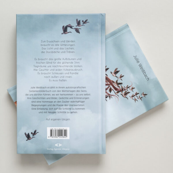 Buch - In jedem Sturm ist ein Lied