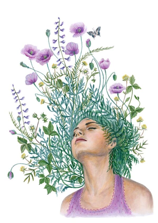 Grußkartenset - Frühlingserwachen