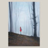 Postkarte - Nebelwald